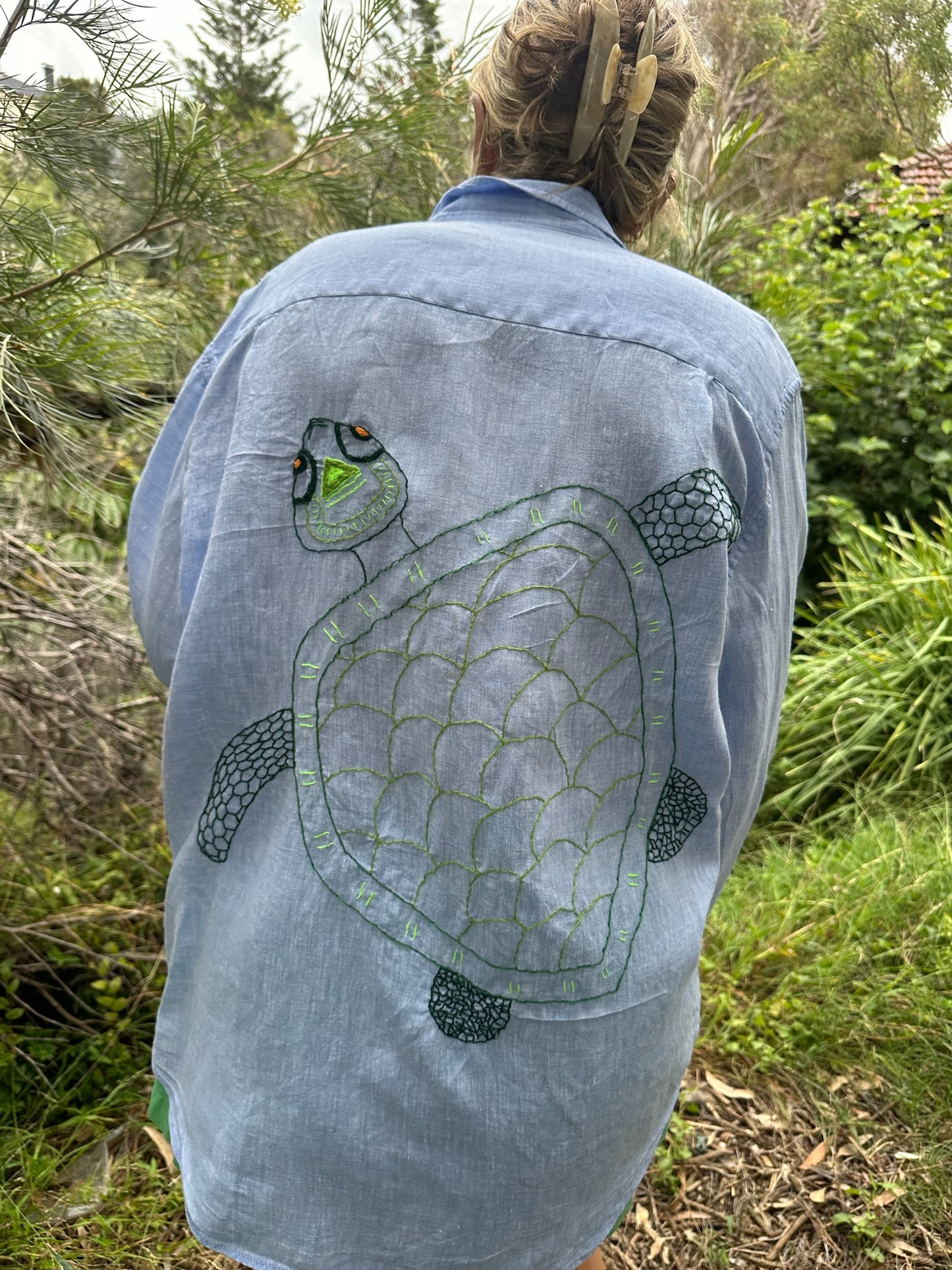 Turtle #1